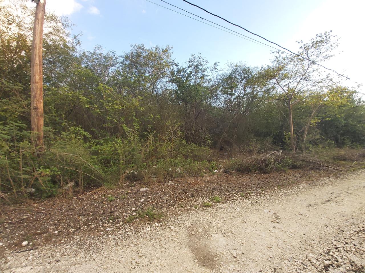 Sixth image of 64 Pacific Avenue in Tobby Heights, Clarendon, Jamaica - property is For Sale