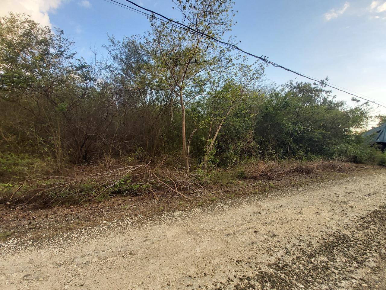 Seventh image of 64 Pacific Avenue in Tobby Heights, Clarendon, Jamaica - property is For Sale