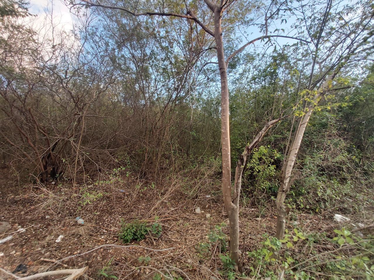 Eighth image of 64 Pacific Avenue in Tobby Heights, Clarendon, Jamaica - property is For Sale