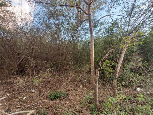 Eighth image of 64 Pacific Avenue in Tobby Heights, Clarendon, Jamaica - property is For Sale