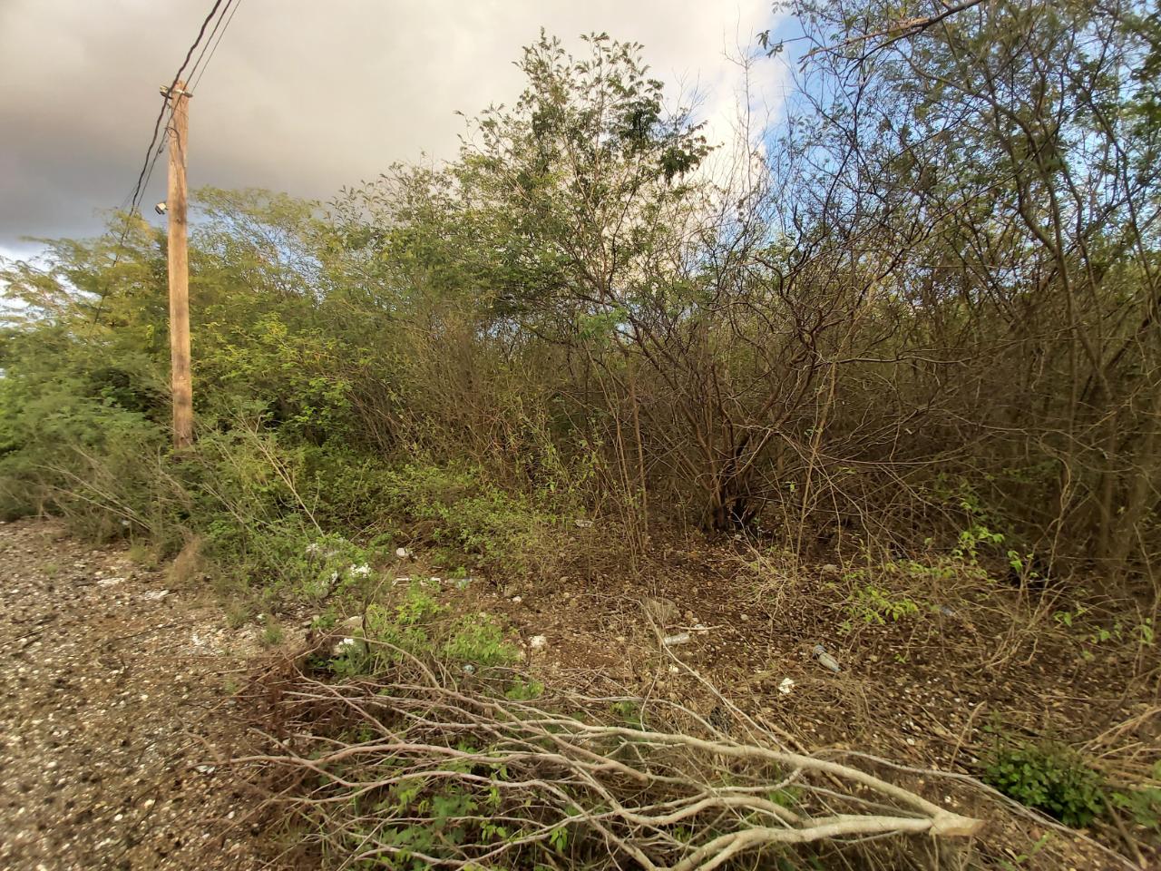 Ninth image of 64 Pacific Avenue in Tobby Heights, Clarendon, Jamaica - property is For Sale