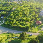 First image of Land Part of Green Bottom in Palmers Cross, Clarendon, Jamaica - property is For Sale