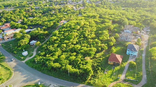 Third image of Land Part of Green Bottom in Palmers Cross, Clarendon, Jamaica - property is For Sale