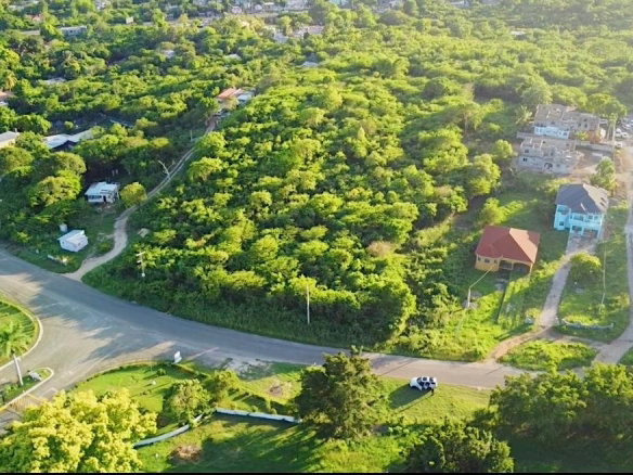 First image of Land Part of Green Bottom in Palmers Cross, Clarendon, Jamaica - property is For Sale