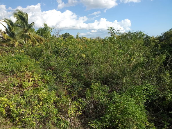 Third image of 41 Sheckles Pen in May Pen, Clarendon, Jamaica - property is For Sale