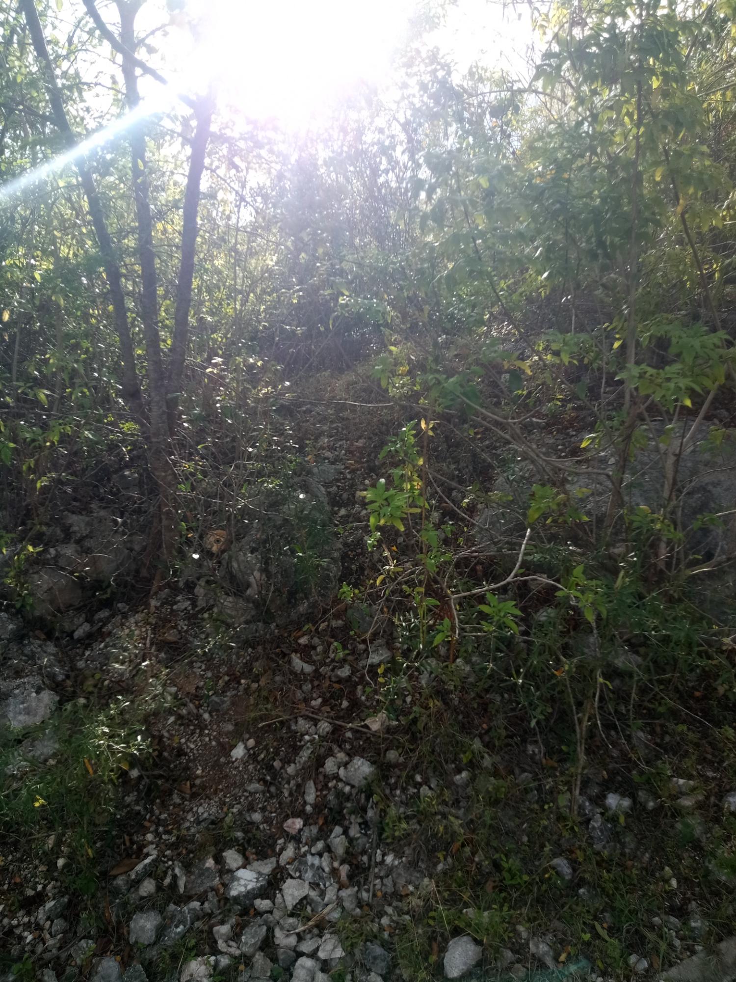 Fourth image of 41 Sheckles Pen in May Pen, Clarendon, Jamaica - property is For Sale