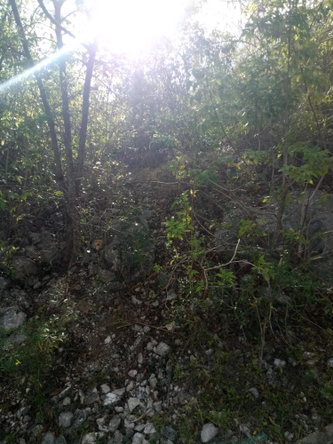 Fourth image of 41 Sheckles Pen in May Pen, Clarendon, Jamaica - property is For Sale