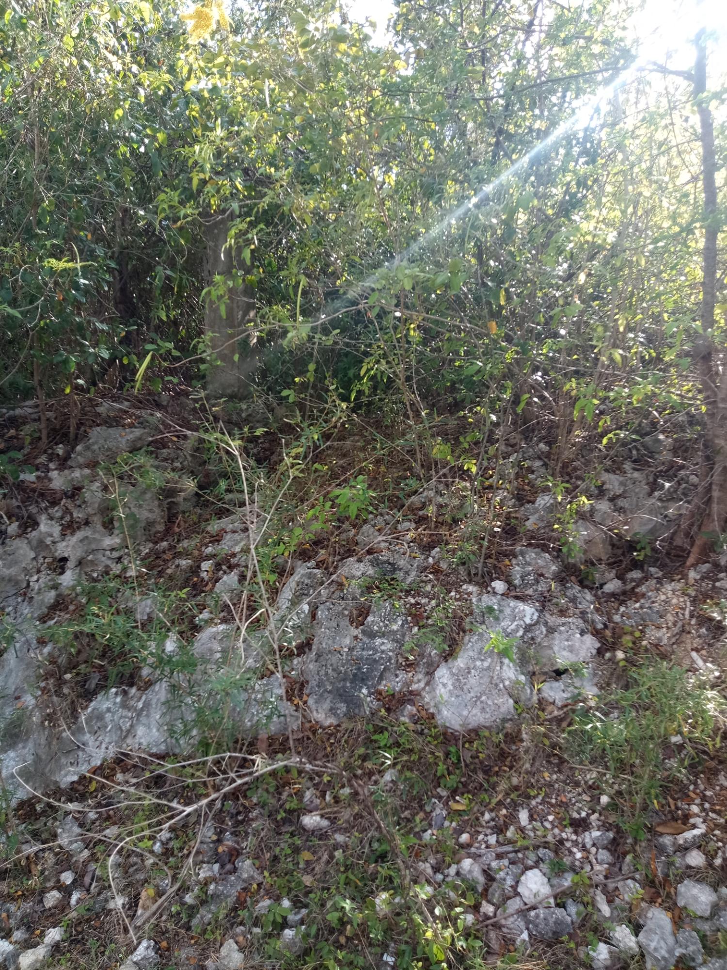 Fifth image of 41 Sheckles Pen in May Pen, Clarendon, Jamaica - property is For Sale