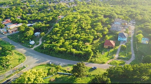 First image of Land Part of Green Bottom in Palmers Cross, Clarendon, Jamaica - property is For Sale
