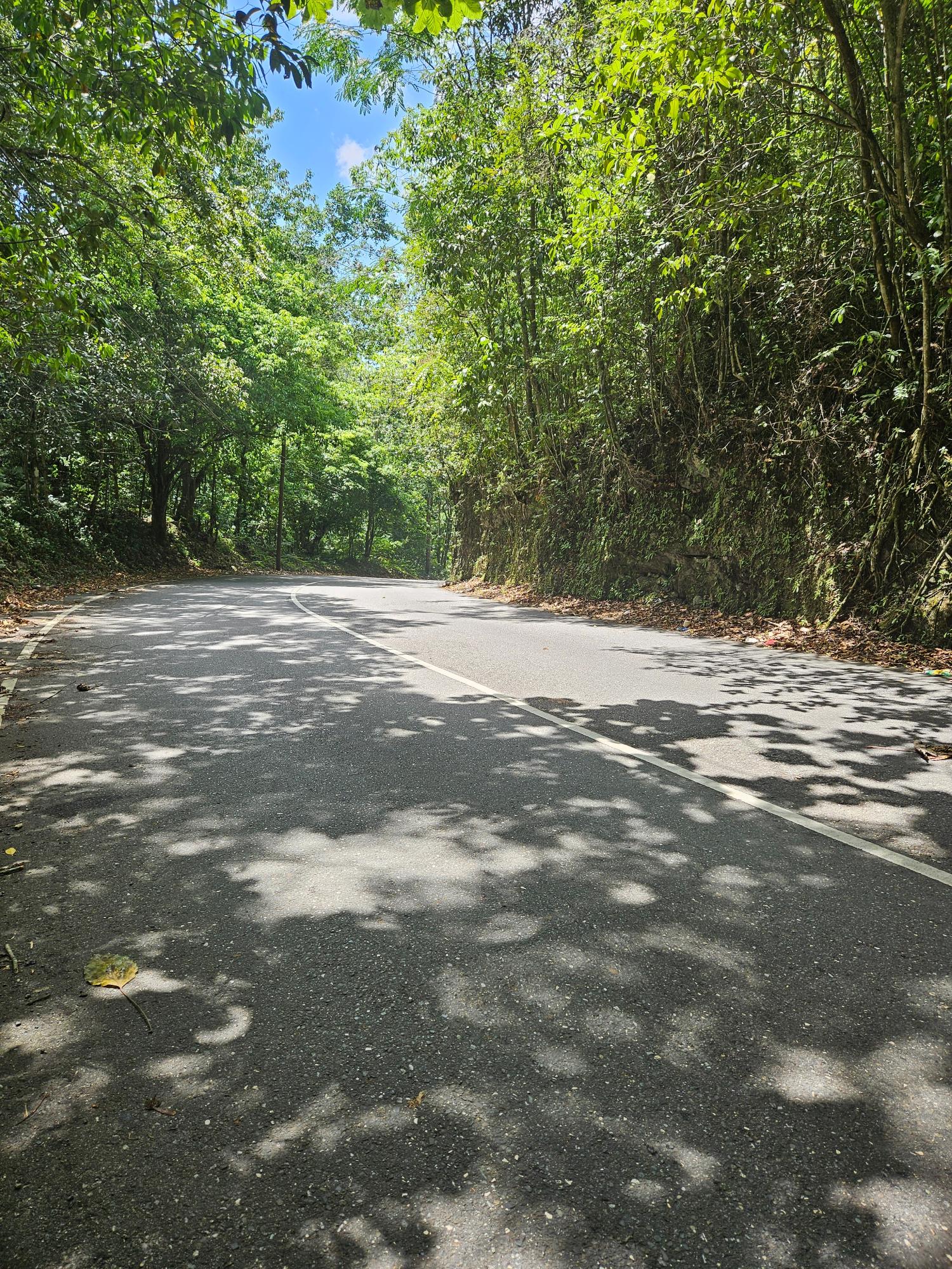 Fourth image of Lot 1 Coopers Hill, Red Hills p in Coopers Hill, St. Andrew, Jamaica - property is For Sale
