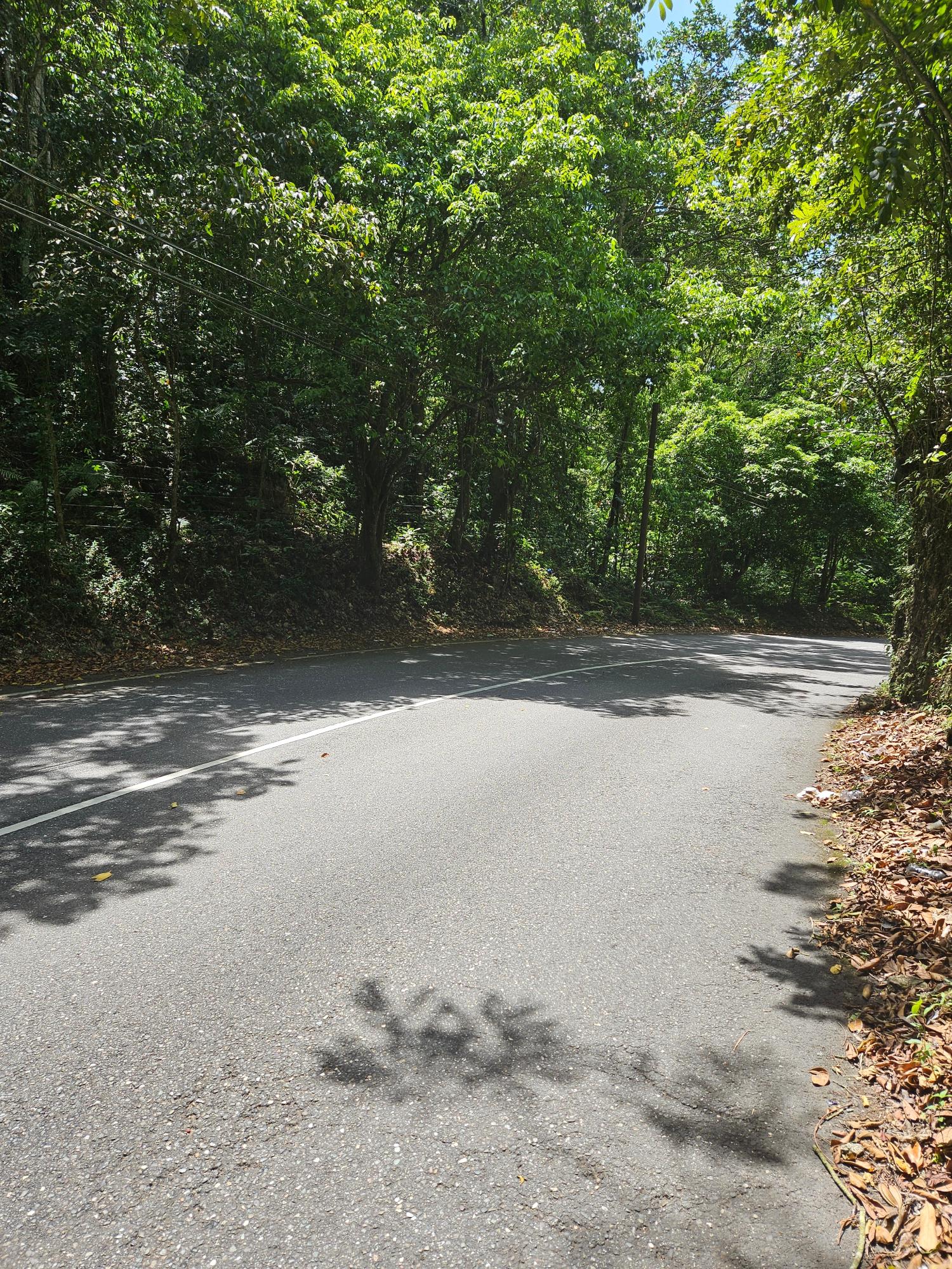 Sixth image of Lot 1 Coopers Hill, Red Hills p in Coopers Hill, St. Andrew, Jamaica - property is For Sale