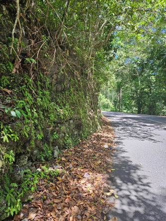 Seventh image of Lot 1 Coopers Hill, Red Hills p in Coopers Hill, St. Andrew, Jamaica - property is For Sale