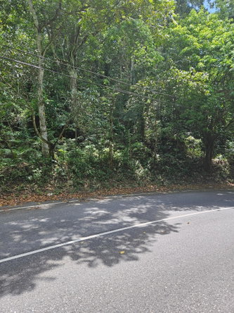 Eighth image of Lot 1 Coopers Hill, Red Hills p in Coopers Hill, St. Andrew, Jamaica - property is For Sale