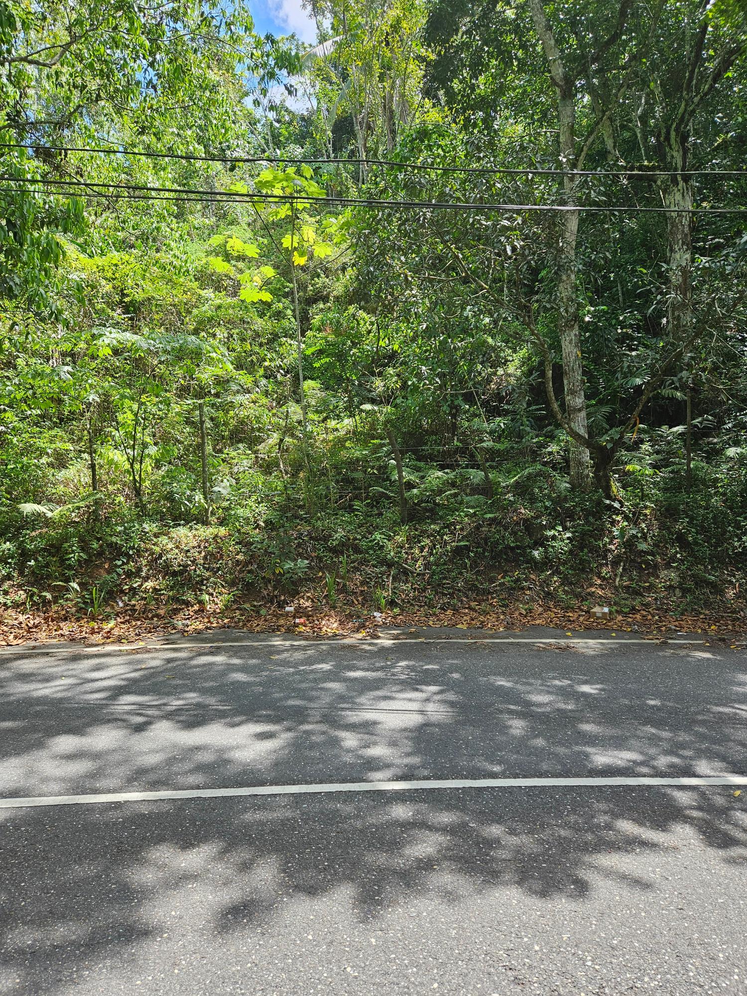 Ninth image of Lot 1 Coopers Hill, Red Hills p in Coopers Hill, St. Andrew, Jamaica - property is For Sale