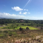 First image of Lot 21 Corby Munro St. e in Munroe College, St. Elizabeth, Jamaica - property is For Sale