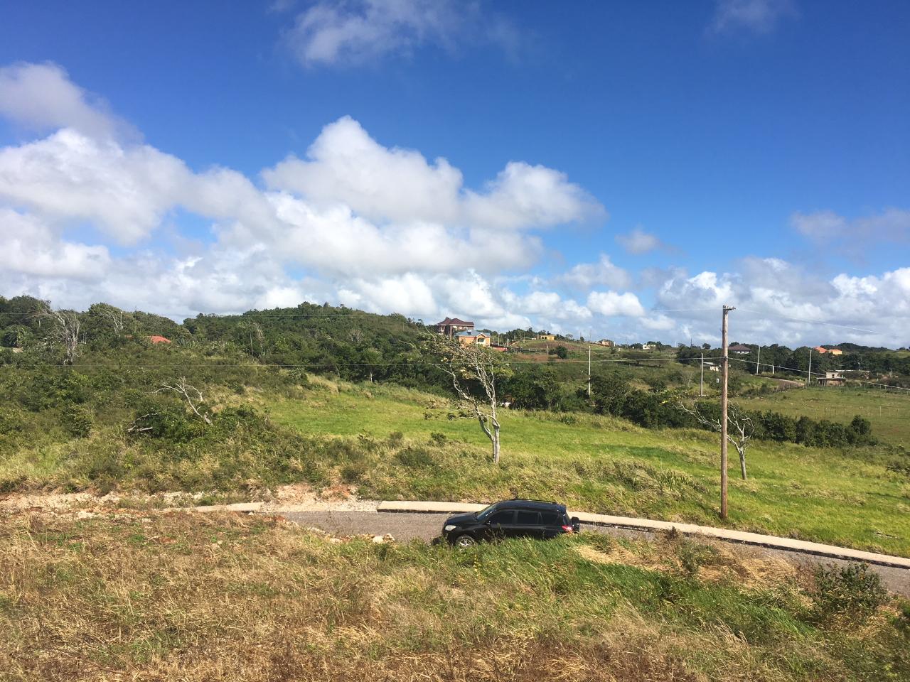 Third image of Lot 21 Corby Munro St. e in Munroe College, St. Elizabeth, Jamaica - property is For Sale