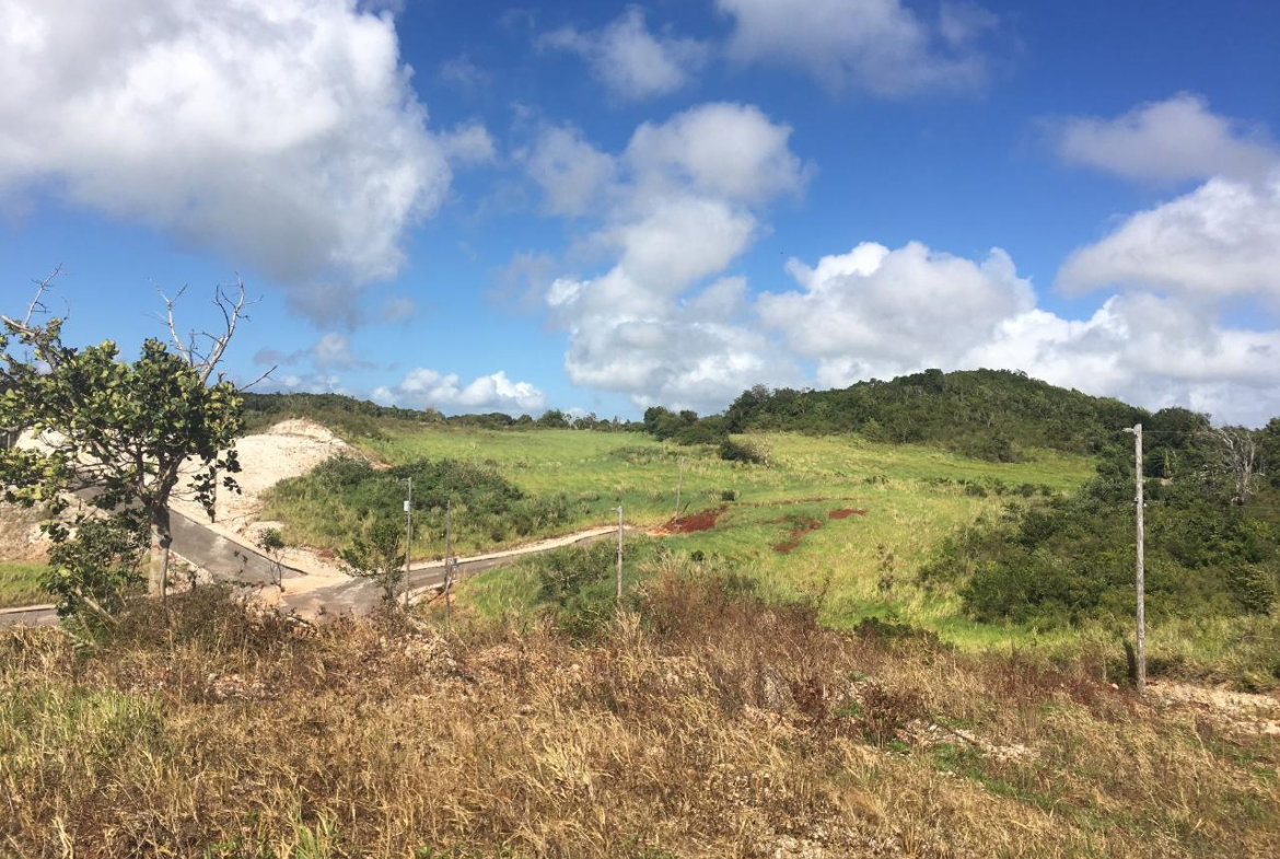Fourth image of Lot 21 Corby Munro St. e in Munroe College, St. Elizabeth, Jamaica - property is For Sale