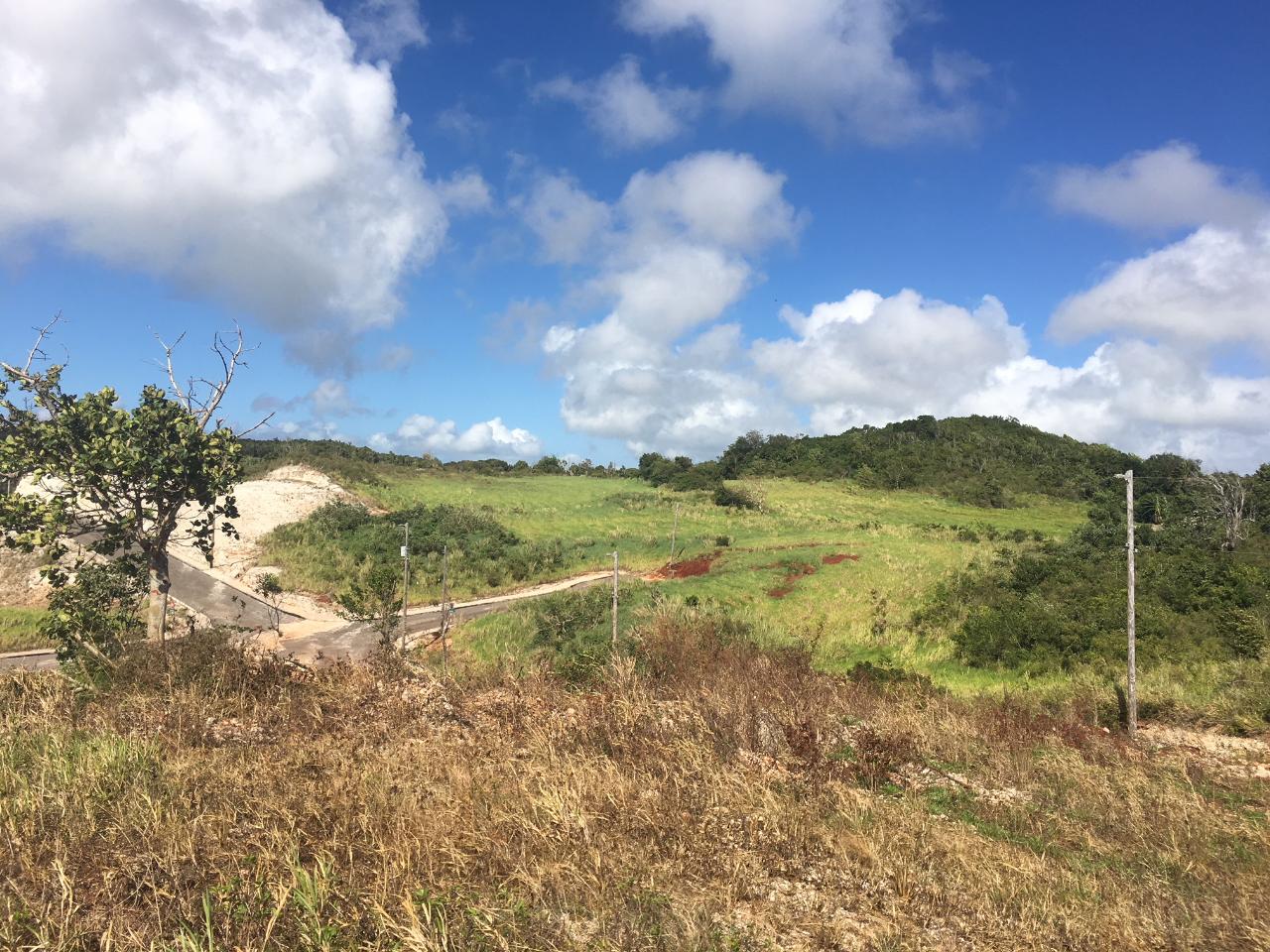Fourth image of Lot 21 Corby Munro St. e in Munroe College, St. Elizabeth, Jamaica - property is For Sale