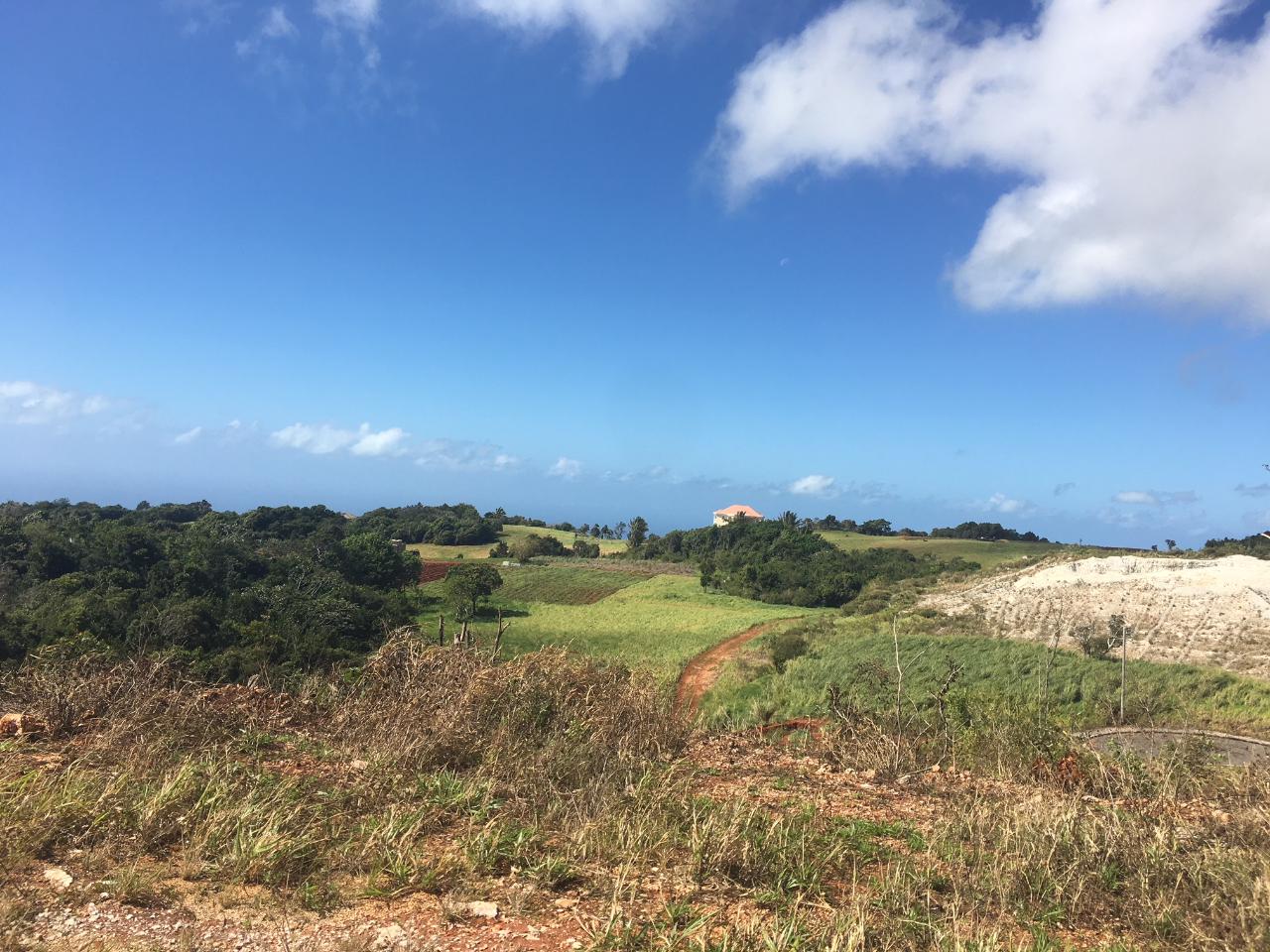 Fifth image of Lot 21 Corby Munro St. e in Munroe College, St. Elizabeth, Jamaica - property is For Sale