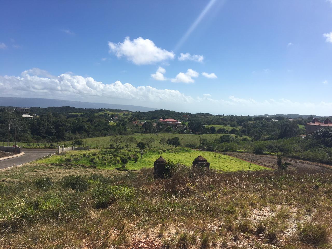 First image of Lot 21 Corby Munro St. e in Munroe College, St. Elizabeth, Jamaica - property is For Sale