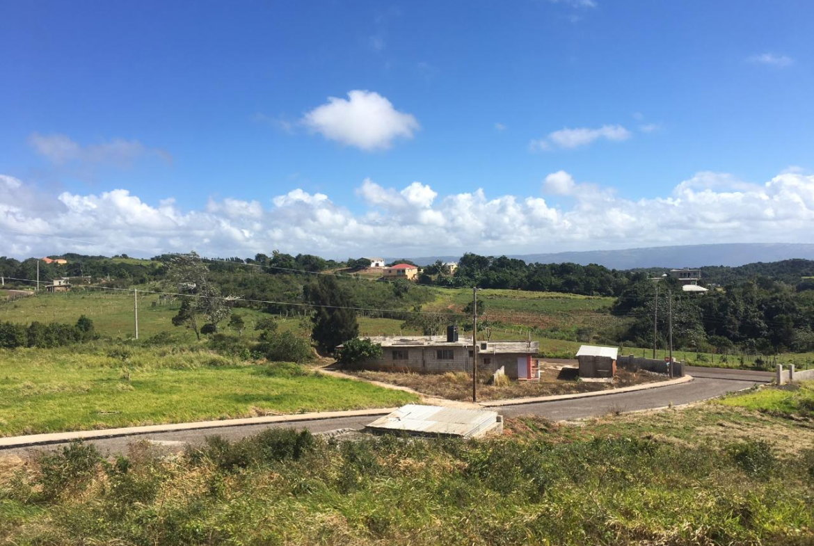 Second image of Lot14 Corby Munro St. Eli in Munroe College, St. Elizabeth, Jamaica - property is For Sale