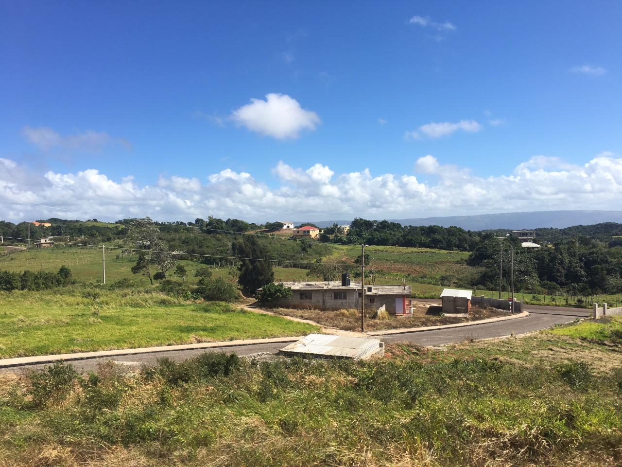 Second image of Lot14 Corby Munro St. Eli in Munroe College, St. Elizabeth, Jamaica - property is For Sale