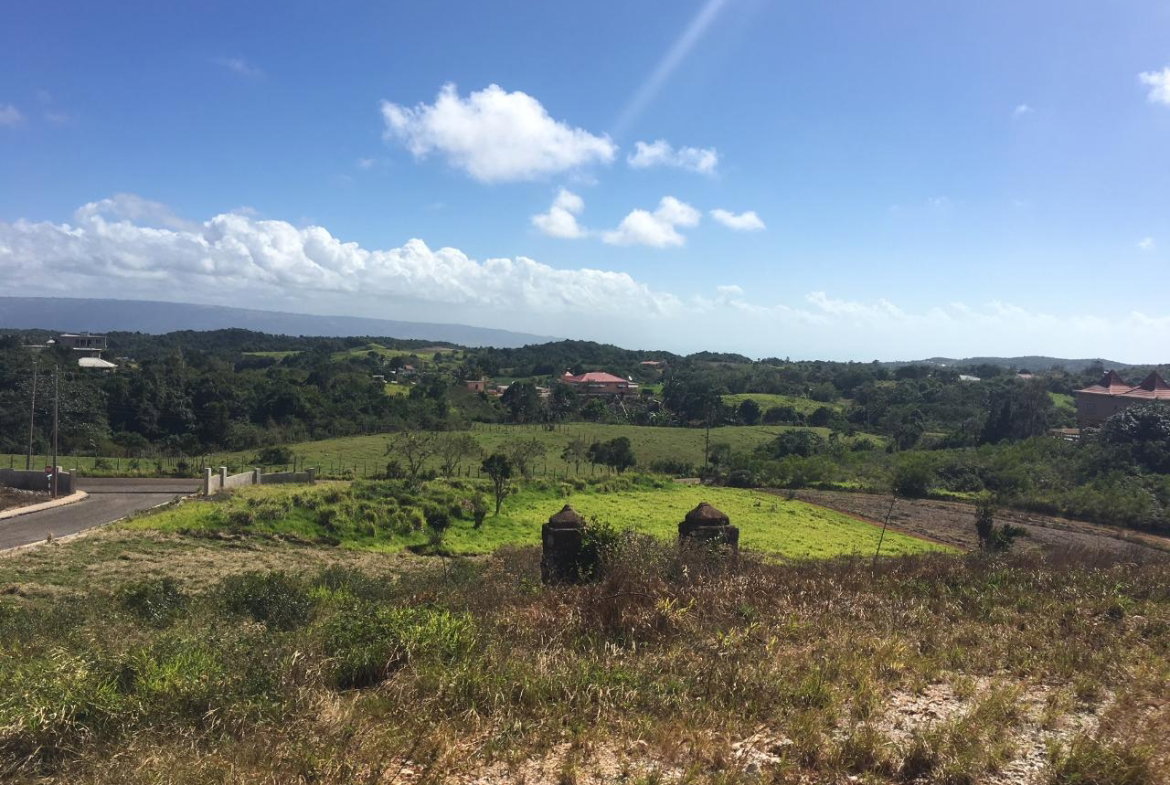 First image of Lot14 Corby Munro St. Eli in Munroe College, St. Elizabeth, Jamaica - property is For Sale