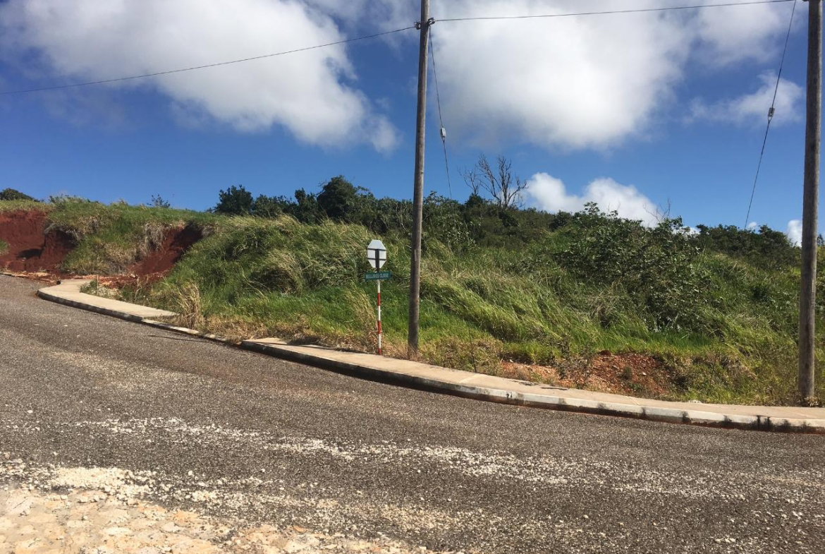 Sixth image of Lot14 Corby Munro St. Eli in Munroe College, St. Elizabeth, Jamaica - property is For Sale
