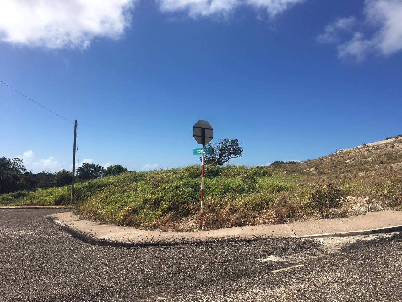 Seventh image of Lot14 Corby Munro St. Eli in Munroe College, St. Elizabeth, Jamaica - property is For Sale