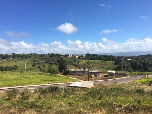 Second image of Lot15 Corby Munro St. Eli in Munroe College, St. Elizabeth, Jamaica - property is For Sale