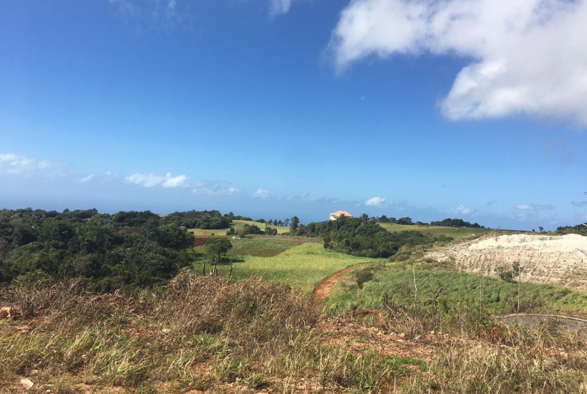 Fifth image of Lot15 Corby Munro St. Eli in Munroe College, St. Elizabeth, Jamaica - property is For Sale