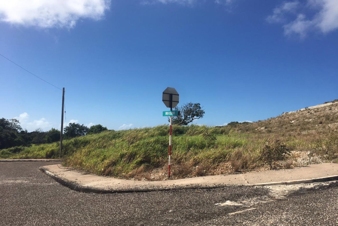 Seventh image of Lot15 Corby Munro St. Eli in Munroe College, St. Elizabeth, Jamaica - property is For Sale