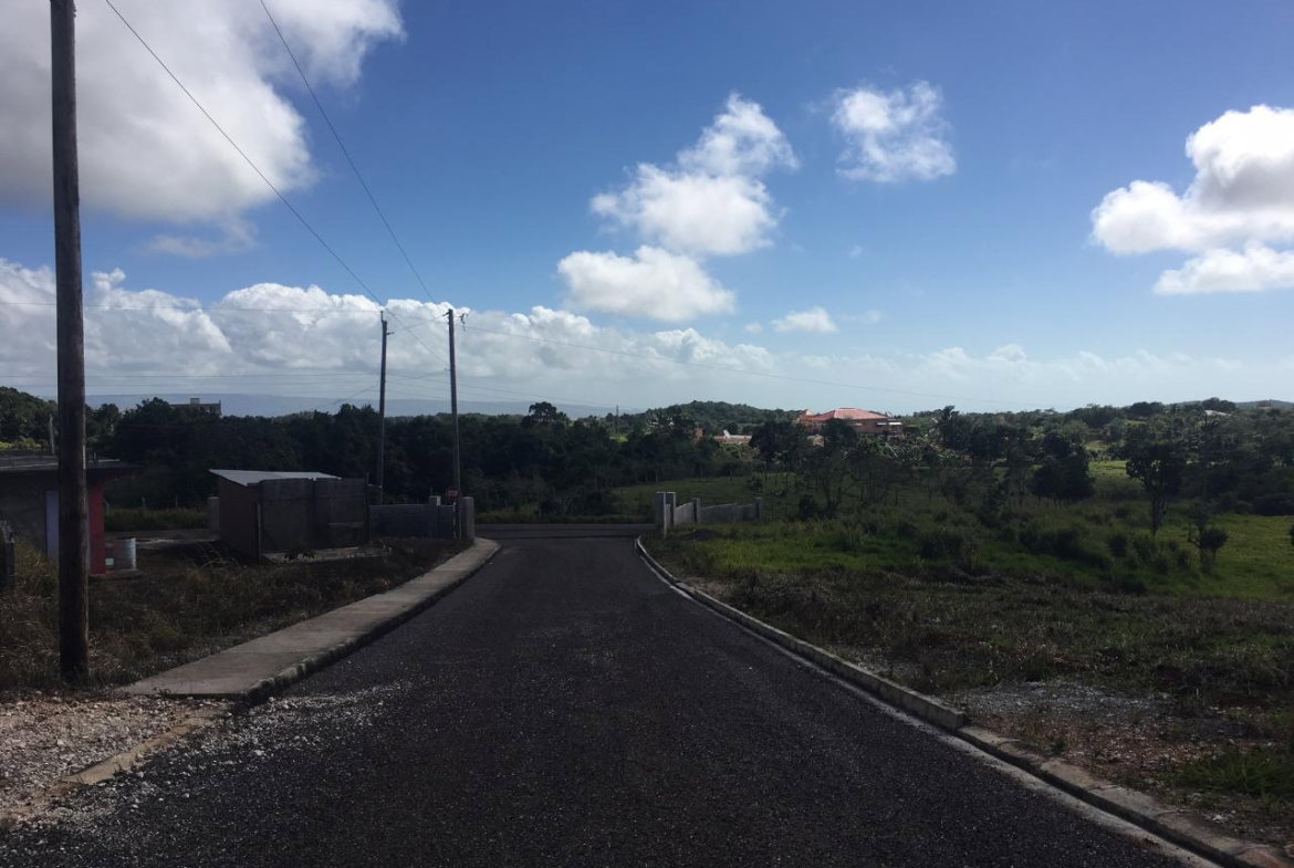 Eighth image of Lot15 Corby Munro St. Eli in Munroe College, St. Elizabeth, Jamaica - property is For Sale