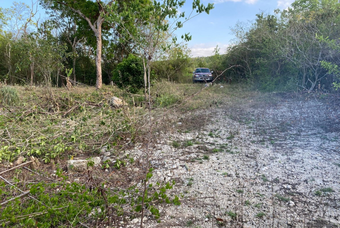 Eleventh image of Lot 400 Runaway Road in DUNCAN BAY, Trelawny, Jamaica - property is For Sale