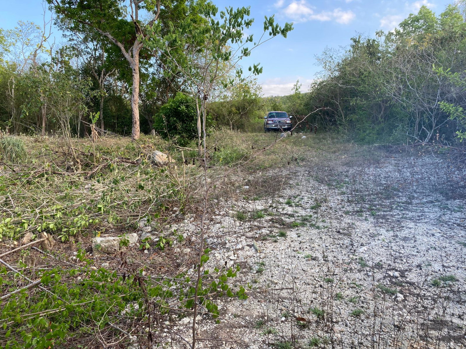 Eleventh image of Lot 400 Runaway Road in DUNCAN BAY, Trelawny, Jamaica - property is For Sale