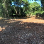 First image of Lot 383- Trelawny Drive in Duncans, Trelawny, Jamaica - property is For Sale