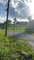 First image of Lot-351 Ridgeway in Duncans, Trelawny, Jamaica - property is For Sale