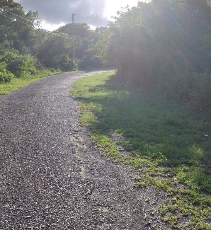 Second image of Lot-351 Ridgeway in Duncans, Trelawny, Jamaica - property is For Sale
