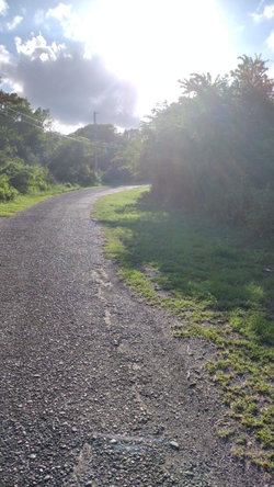 Second image of Lot-351 Ridgeway in Duncans, Trelawny, Jamaica - property is For Sale