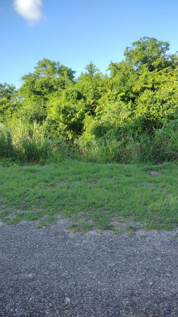 Third image of Lot-351 Ridgeway in Duncans, Trelawny, Jamaica - property is For Sale