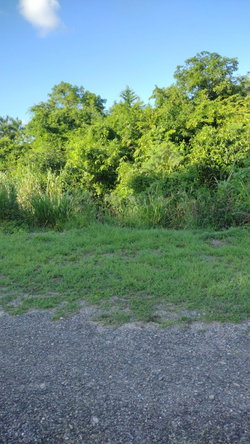 Third image of Lot-351 Ridgeway in Duncans, Trelawny, Jamaica - property is For Sale