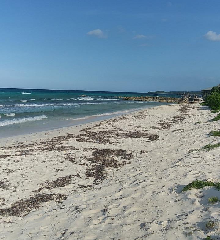 Sixth image of Lot-351 Ridgeway in Duncans, Trelawny, Jamaica - property is For Sale