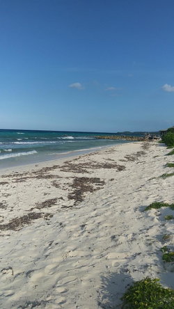 Sixth image of Lot-351 Ridgeway in Duncans, Trelawny, Jamaica - property is For Sale