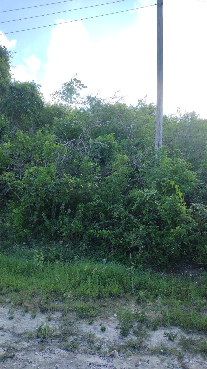 Second image of Lot-354 Ridgeway in Duncans, Trelawny, Jamaica - property is For Sale