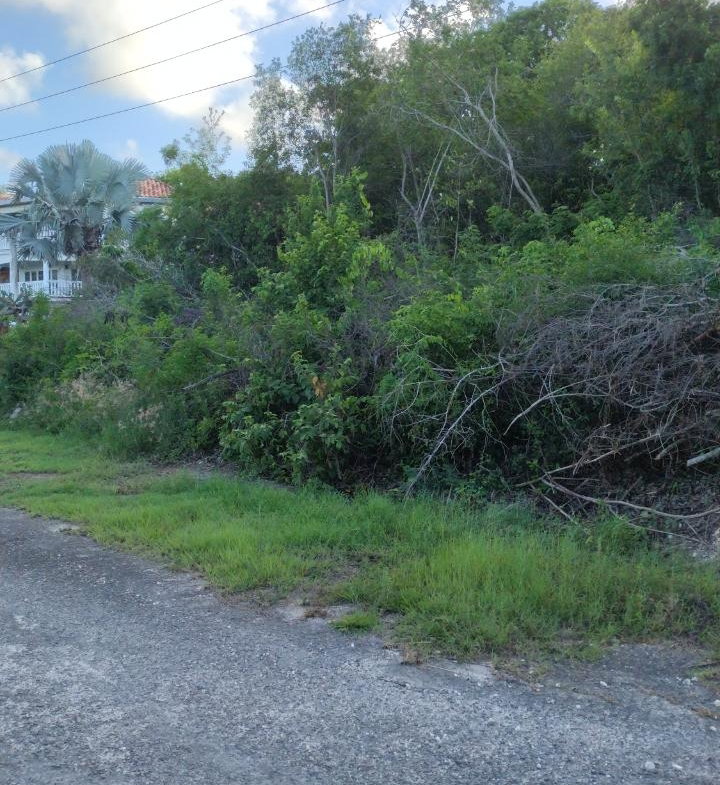 Third image of Lot-354 Ridgeway in Duncans, Trelawny, Jamaica - property is For Sale