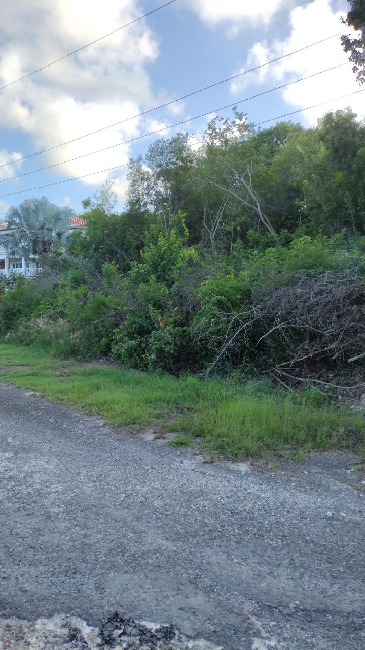 Third image of Lot-354 Ridgeway in Duncans, Trelawny, Jamaica - property is For Sale
