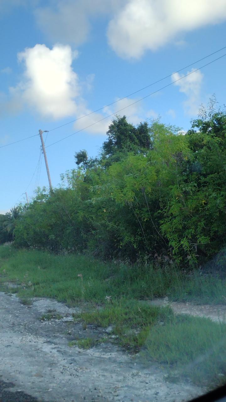 Fourth image of Lot-354 Ridgeway in Duncans, Trelawny, Jamaica - property is For Sale