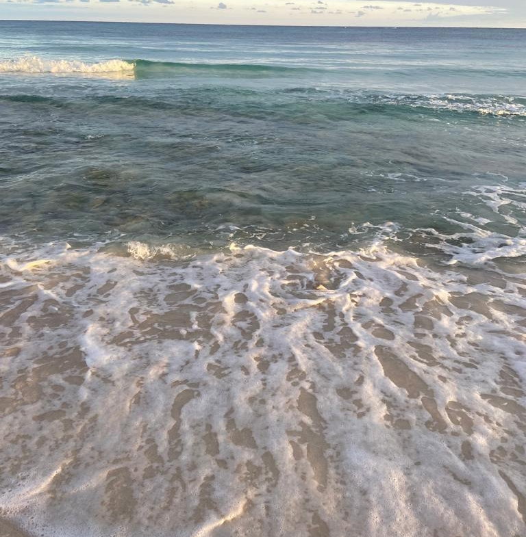 Fifth image of Lot-354 Ridgeway in Duncans, Trelawny, Jamaica - property is For Sale