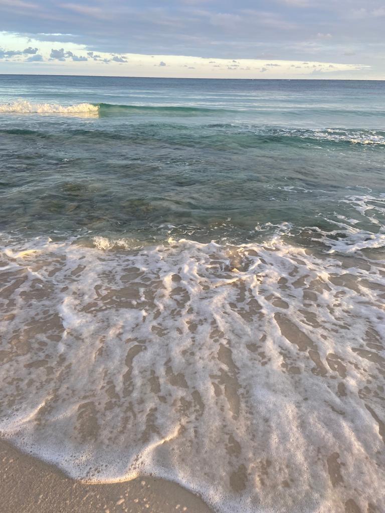 Fifth image of Lot-354 Ridgeway in Duncans, Trelawny, Jamaica - property is For Sale