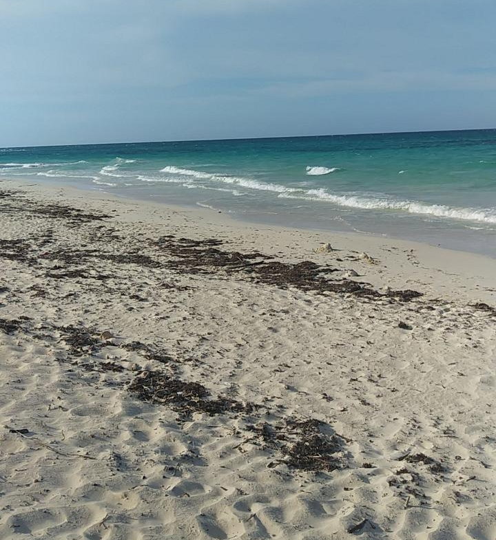 Sixth image of Lot-354 Ridgeway in Duncans, Trelawny, Jamaica - property is For Sale